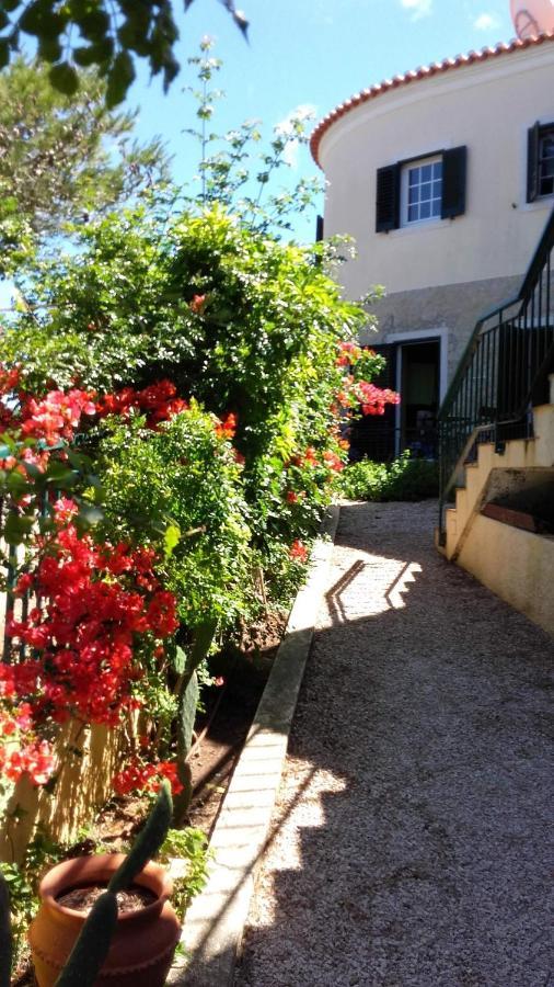 Amazigh Guincho Hostel & Suites 卡斯凯什 外观 照片