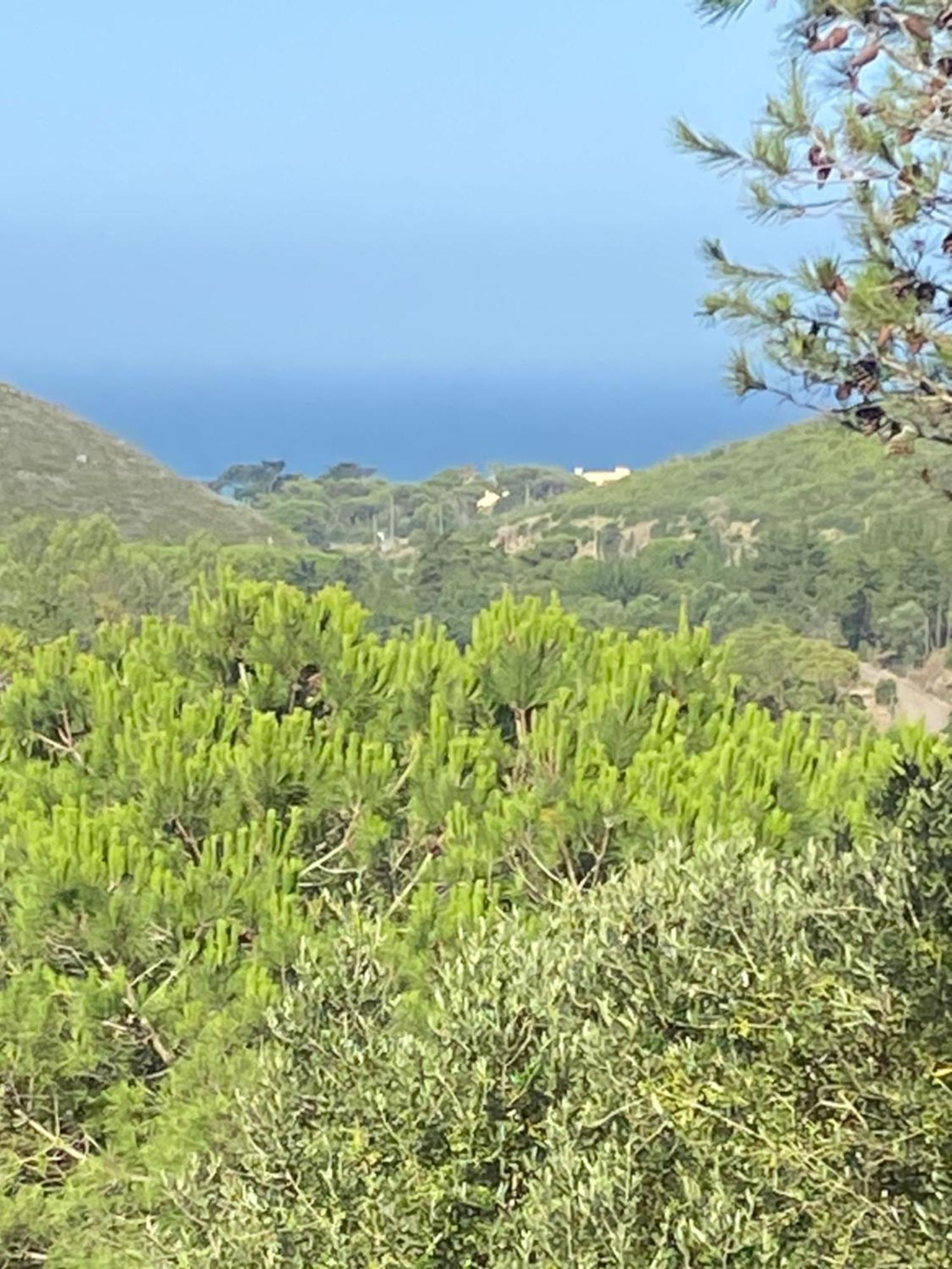 Amazigh Guincho Hostel & Suites 卡斯凯什 外观 照片