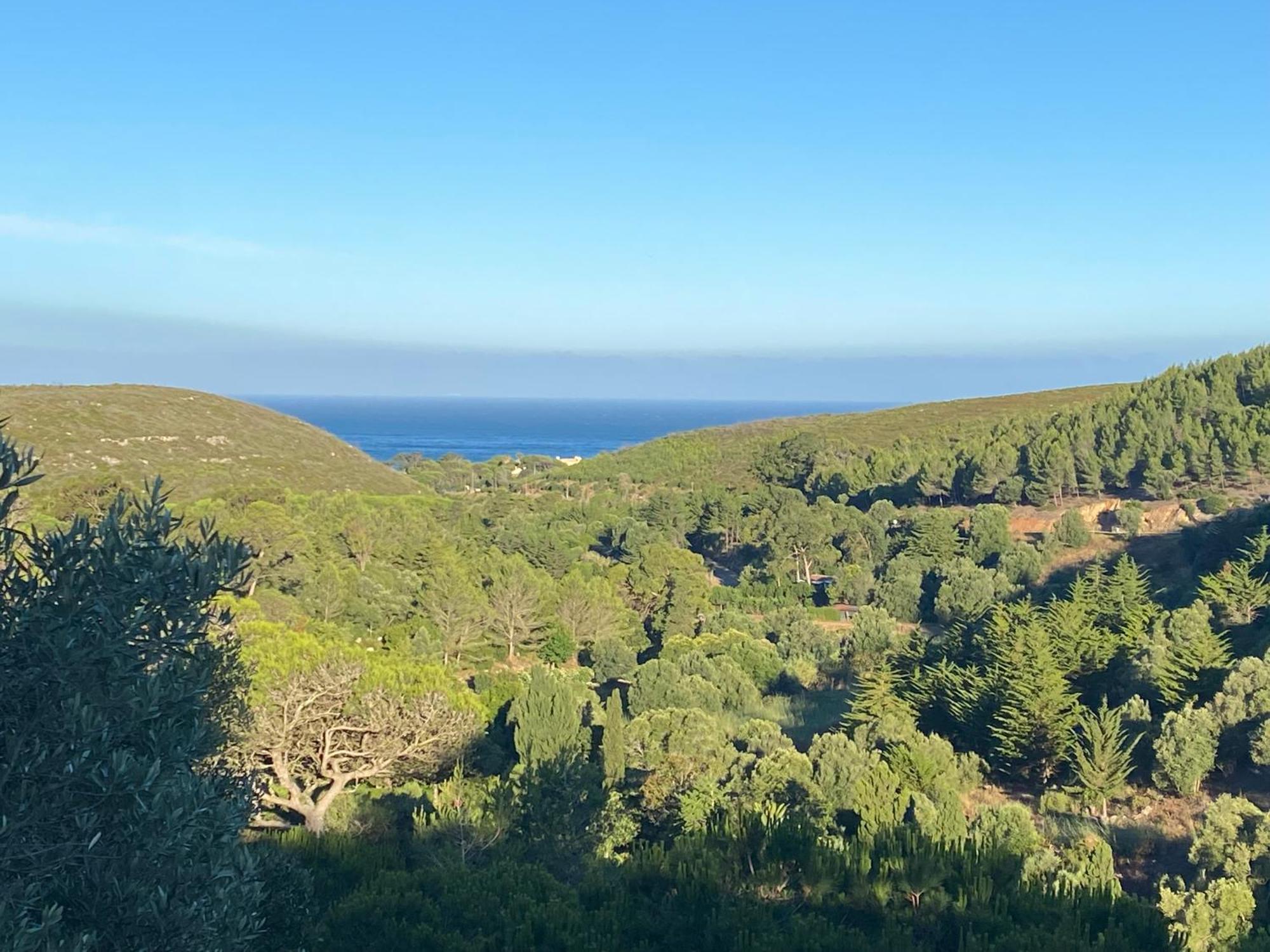 Amazigh Guincho Hostel & Suites 卡斯凯什 外观 照片
